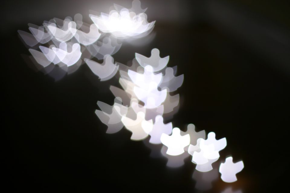 Blurred lights that look like angels against a black ground 